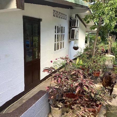 Bora Red Hibiscus Lodge بورا بورا المظهر الخارجي الصورة
