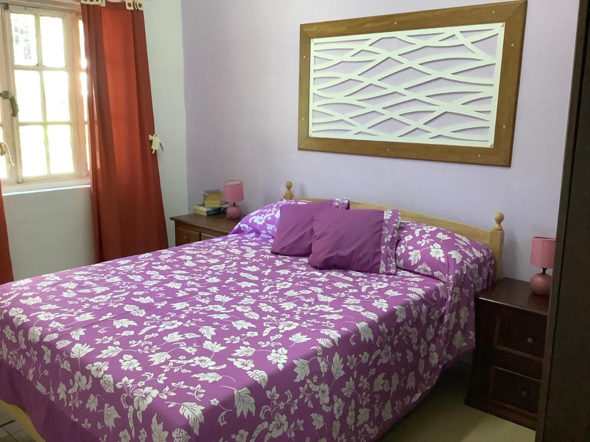 Bora Red Hibiscus Lodge بورا بورا المظهر الخارجي الصورة